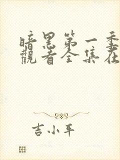 暗黑第一季免费观看全集在线观看