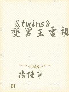 《twins》双男主电视剧