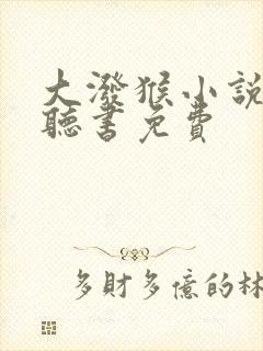 大泼猴小说有声听书免费