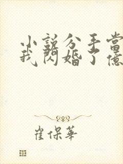 小说分手当天,我闪婚了亿万富豪