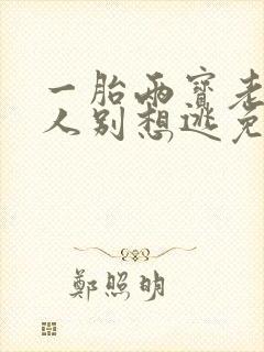 一胎两宝老婆大人别想逃免费阅读全文小说