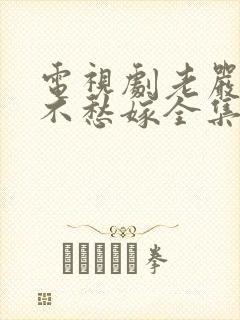 电视剧老严有女不愁嫁全集