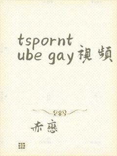 tsporntube gay视频