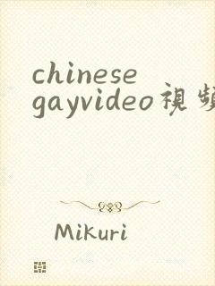 chinesegayvideo视频网站