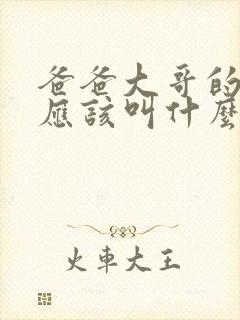 爸爸大哥的老婆应该叫什么