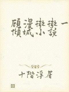 顾漫微微一笑很倾城小说