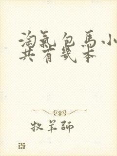 淘气包马小跳一共有几本封面