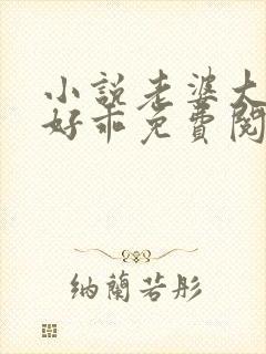 小说老婆大人你好乖免费阅读封面