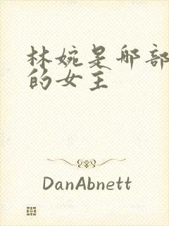 林婉是哪部小说的女主