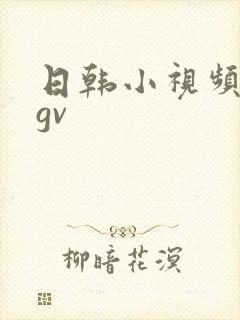 日韩小视频在线gv