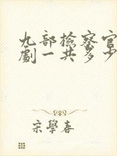 九部检察官电视剧一共多少集