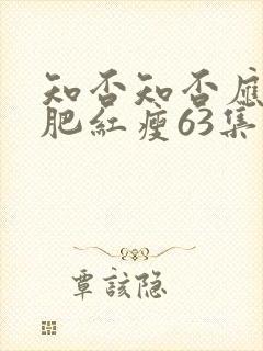 知否知否应是绿肥红瘦63集封面