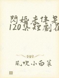 闪婚老伴是豪门120集短剧在哪里看