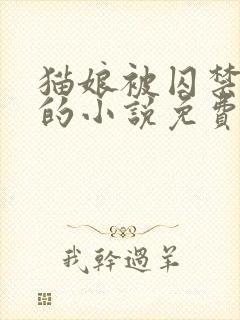 猫娘被囚禁恶堕的小说免费阅读