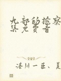 九部的检察官全集免费看