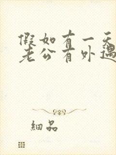 假如有一天发现老公有外遇老婆怎么办封面