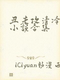 丑老攻清冷美人小说合集