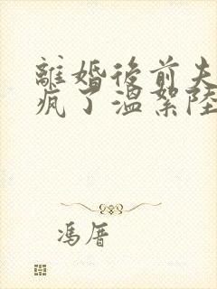 离婚后前夫他悔疯了温絮陆时谦