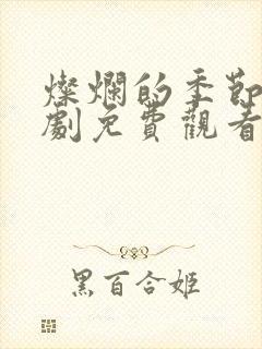 灿烂的季节电视剧免费观看完整版封面