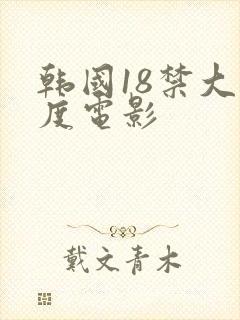 韩国18禁大尺度电影封面