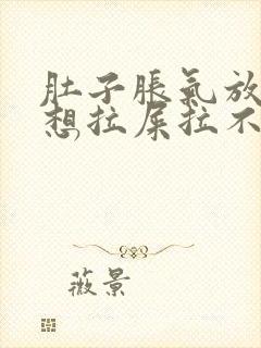 肚子胀气放屁多想拉屎拉不出来