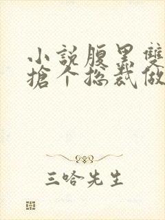 小说腹黑双胞胎抢个总裁做爹地