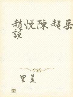 赵悦陈超岳母小说
