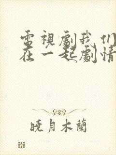 电视剧我们好好在一起剧情