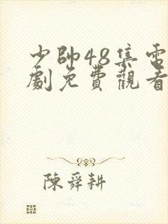 少帅48集电视剧免费观看