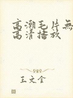 高潮毛片无遮挡高清播放