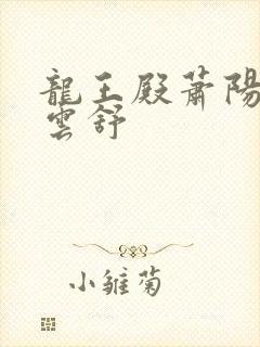 龙王殿萧阳和叶云舒