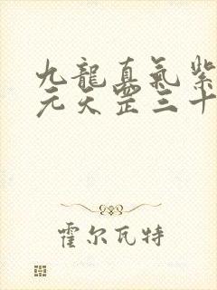 九龙真气紫薇真元天罡三十六法地煞七十二术