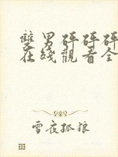 双男砰砰砰高清在线观看全集