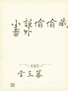 小说偷偷藏不住番外封面