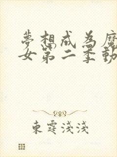 梦想成为魔法少女第二季动画免费观看全集