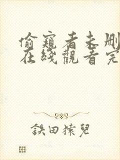 偷窥者未删减版在线观看完整版