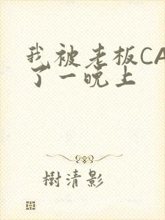 我被老板CAO了一晚上