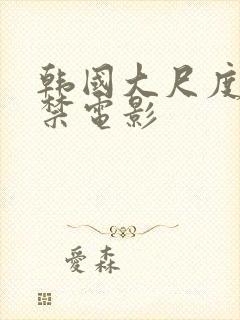 韩国大尺度19禁电影封面