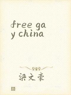 free gay china封面