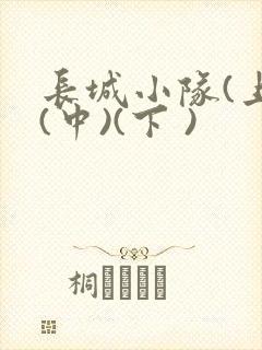 长城小队(上)(中)(下 )封面