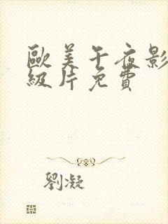 欧美午夜影院一级片免费