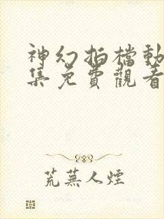 神幻拍档动漫全集免费观看