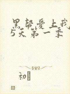 黑帮爱上我365天第一季