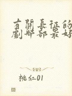 有关长征的电视剧哪部最好