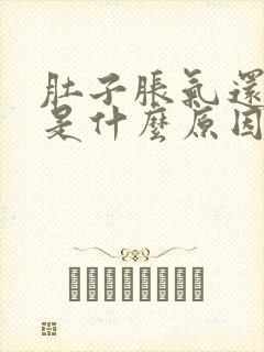 肚子胀气还放屁是什么原因封面