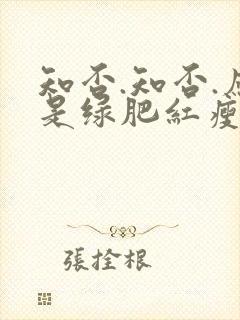 知否.知否.应是绿肥红瘦演员表