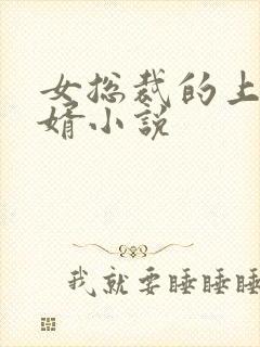 女总裁的上门狂婿小说