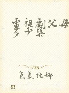 电视剧父母爱情多少集封面