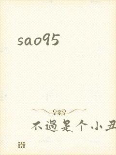 sao95封面