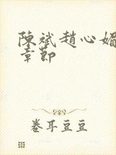 陈斌赵心媚免费章节